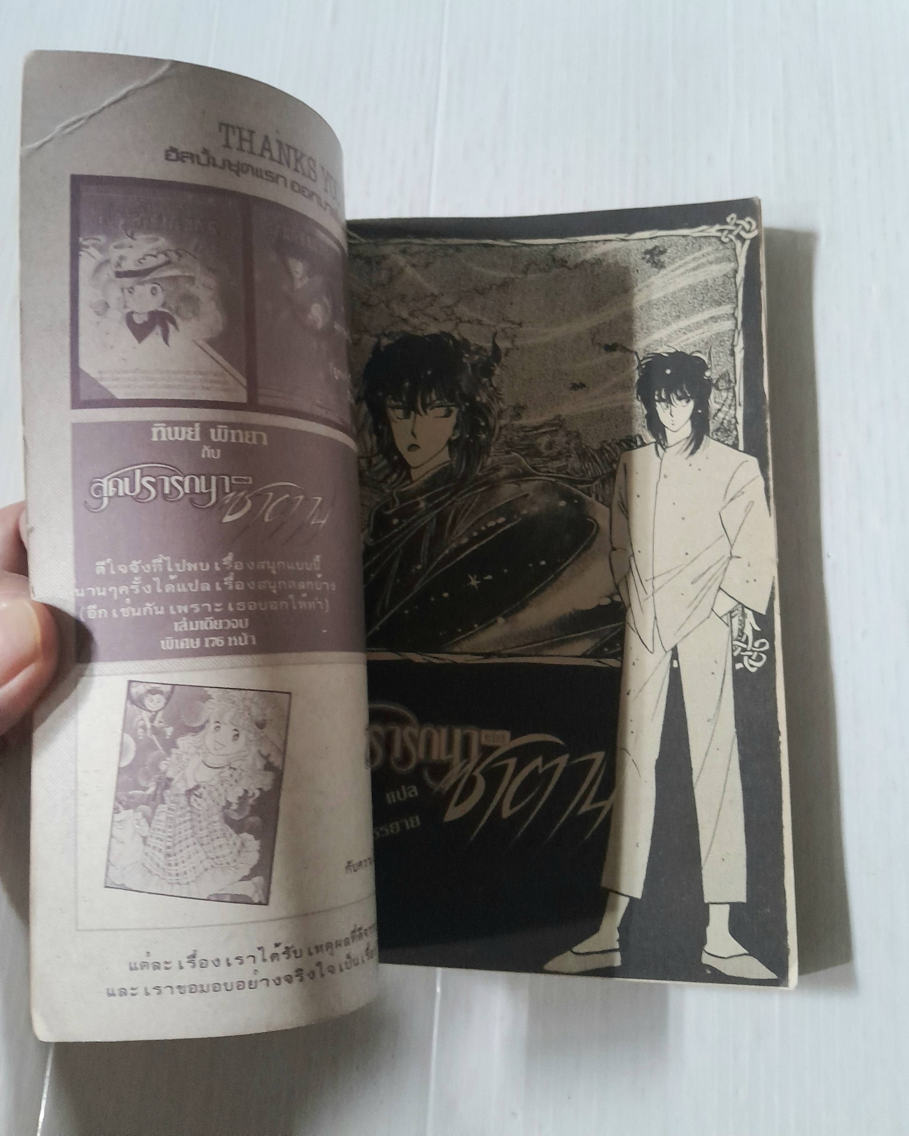 สุดปรารถนาชองซาตาน (เล่มเดียวจบ)