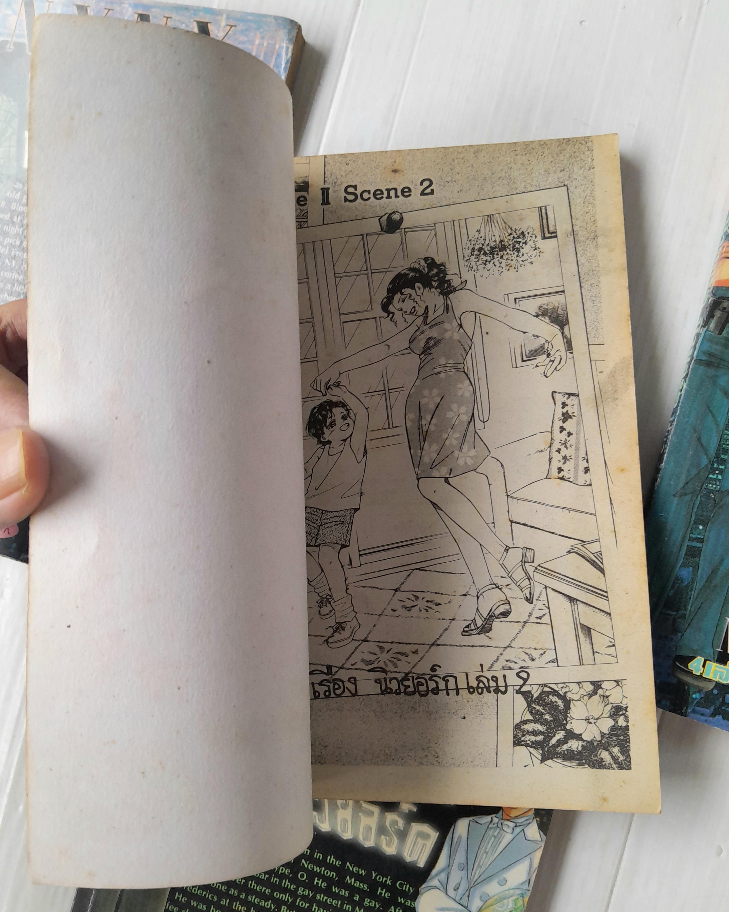 นิวยอร์ค นิวยอร์ค 4 เล่มจบ / Marimo Ragawa