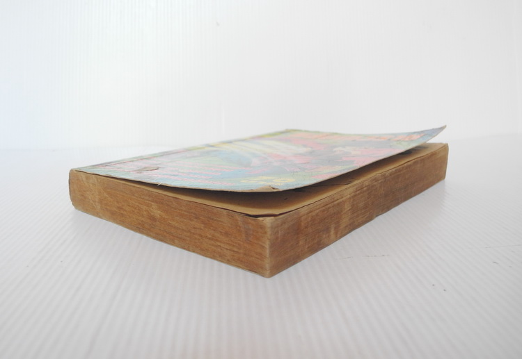 พลังเทวราช ( เล่มเดียวจบ )