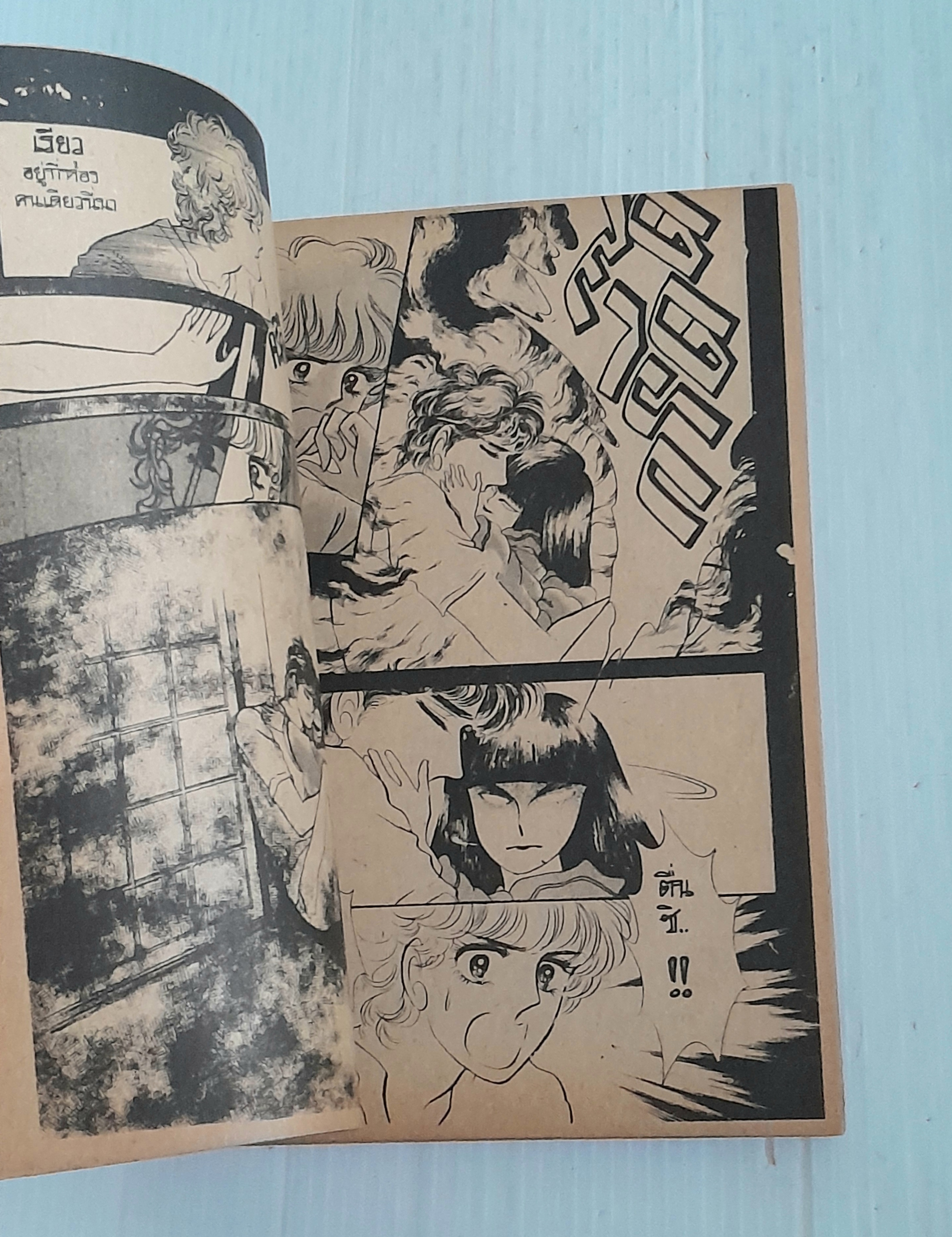 ล้างหนี้รัก (เล่มเดียวจบ)