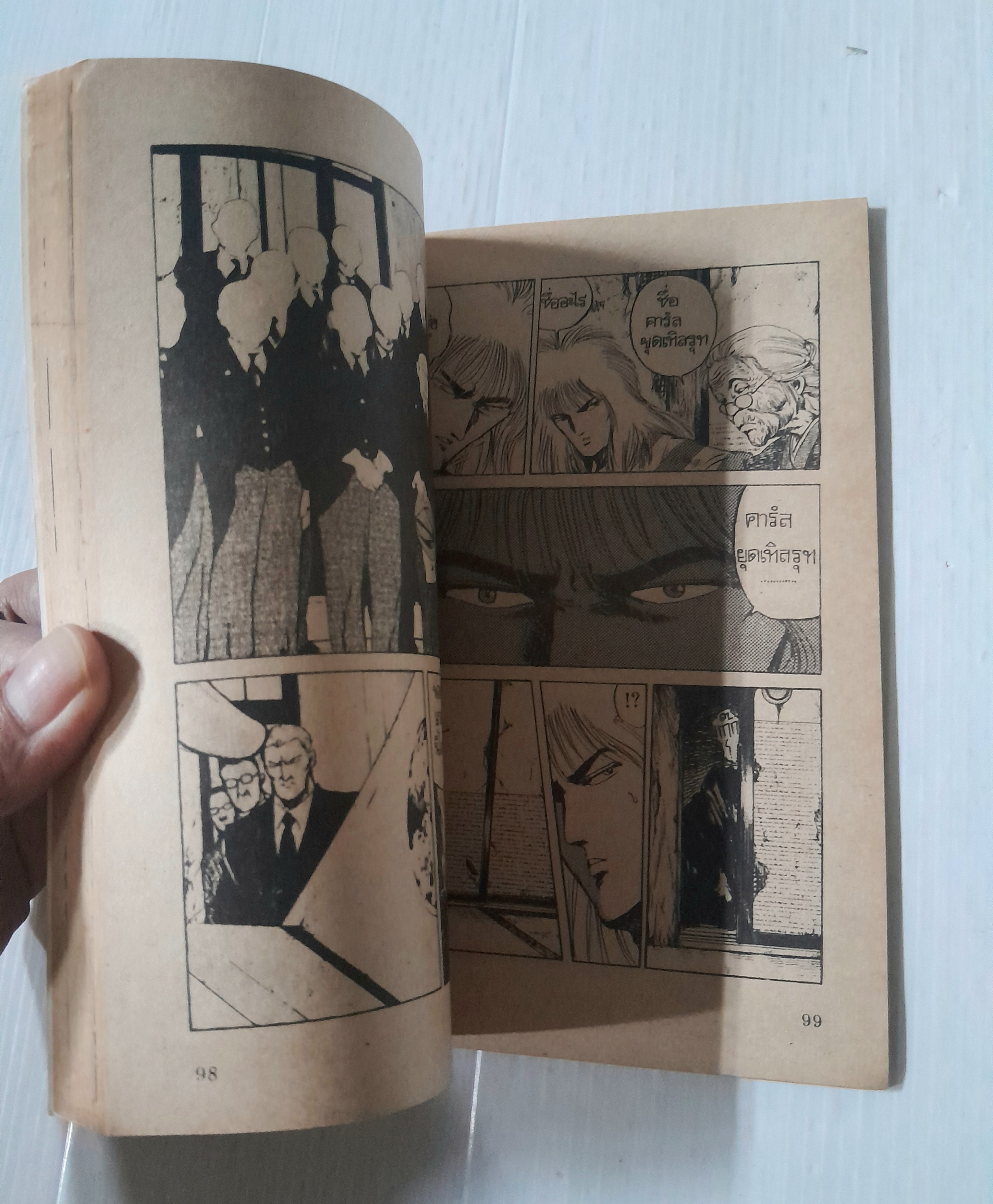 ้เพลิงแค้นราชสีห์ เล่ม 2 (2 เล่มจบ)