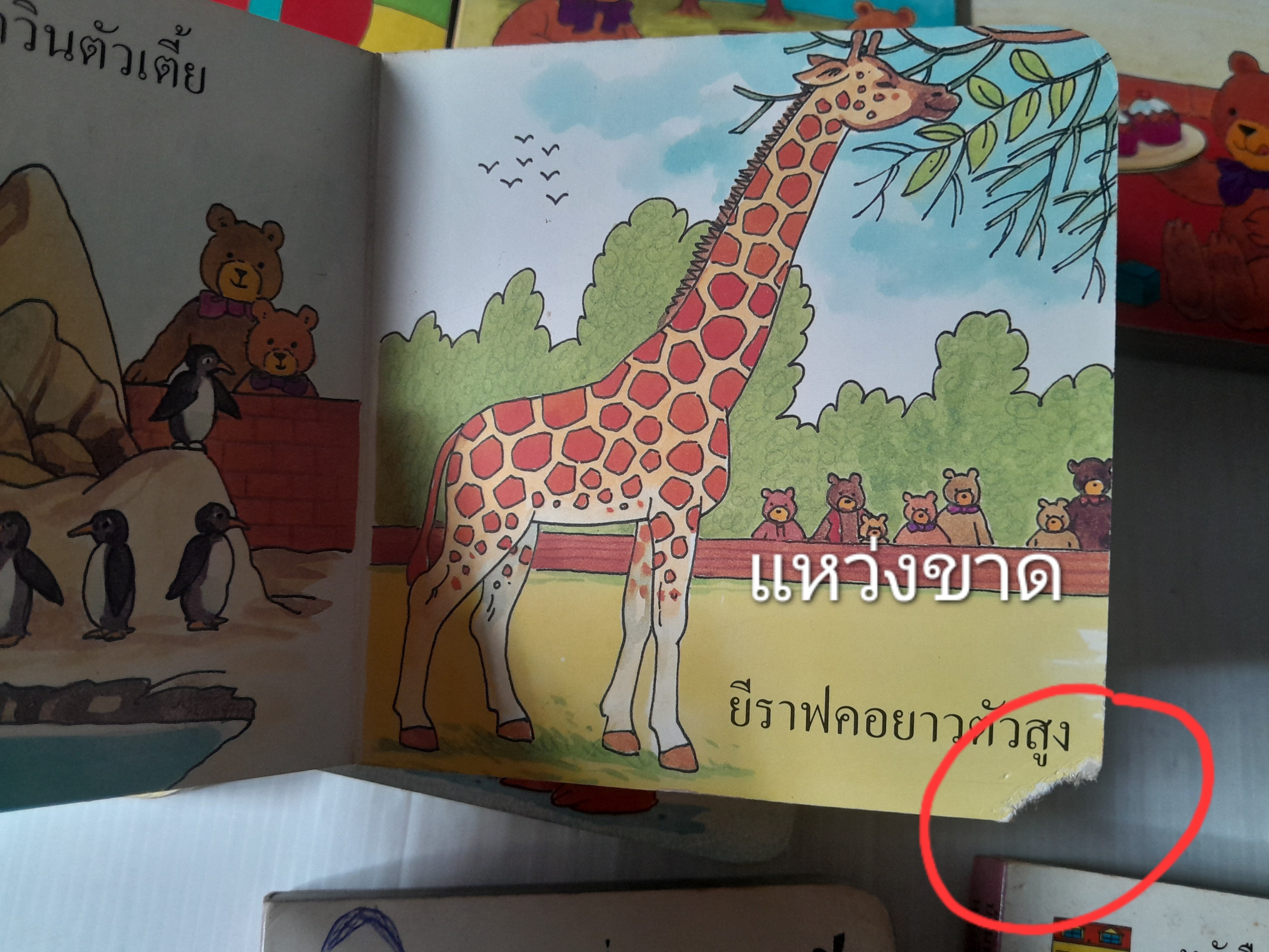 บ้านนับเลขของหมี 10 เล่มครบชุด / Gina Bencraft