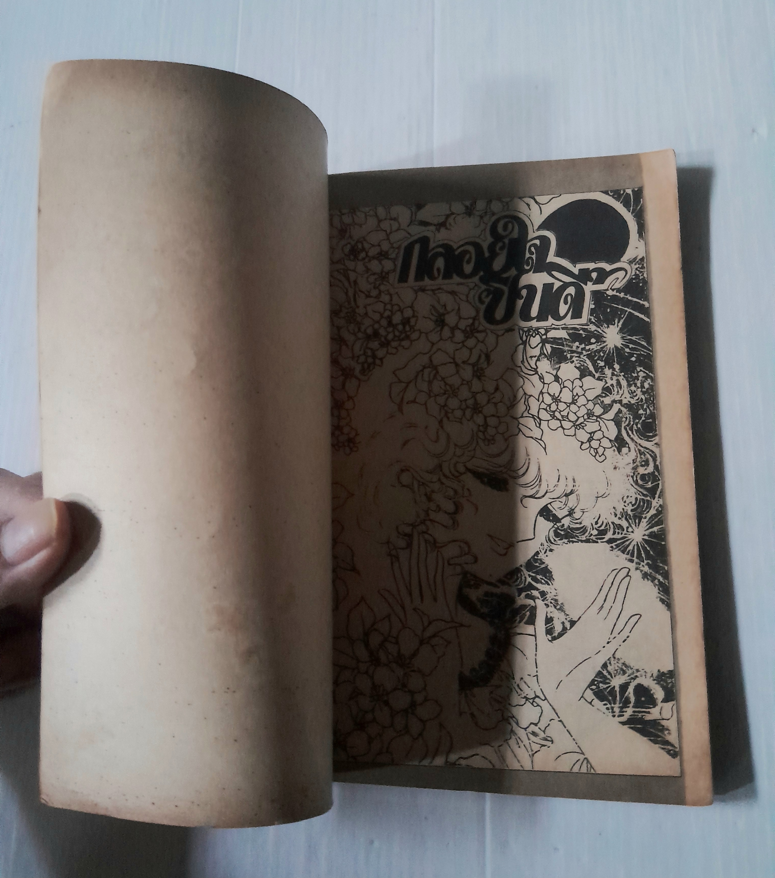 กลอยใจซินดี้ (เล่มเดียวจบ)