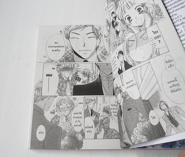 บันทึกรักคุณหนูไฮโซ Melody's file 3 เล่ม ครบจบ (เล่มเดียวจบทั้ง 3 เล่ม) / Amane Yuko