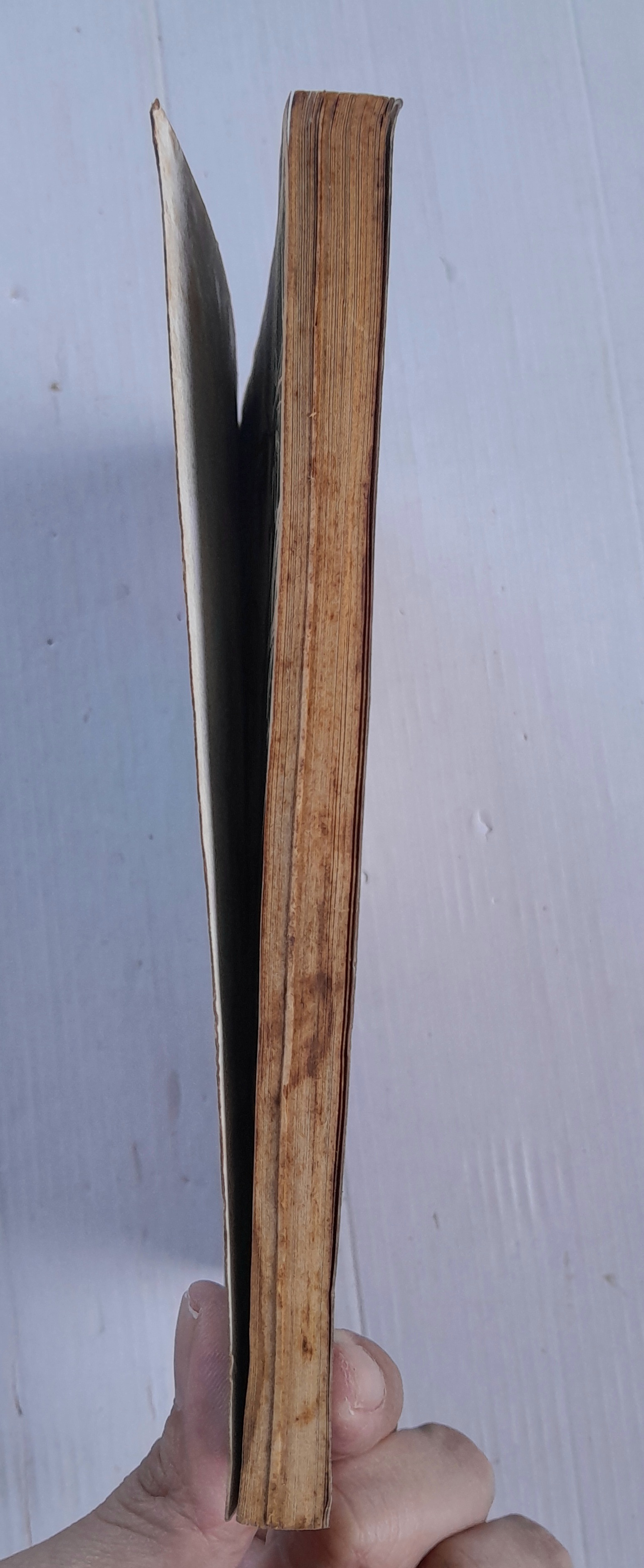 ป่ามรณะ (เล่มเดียวจบ)