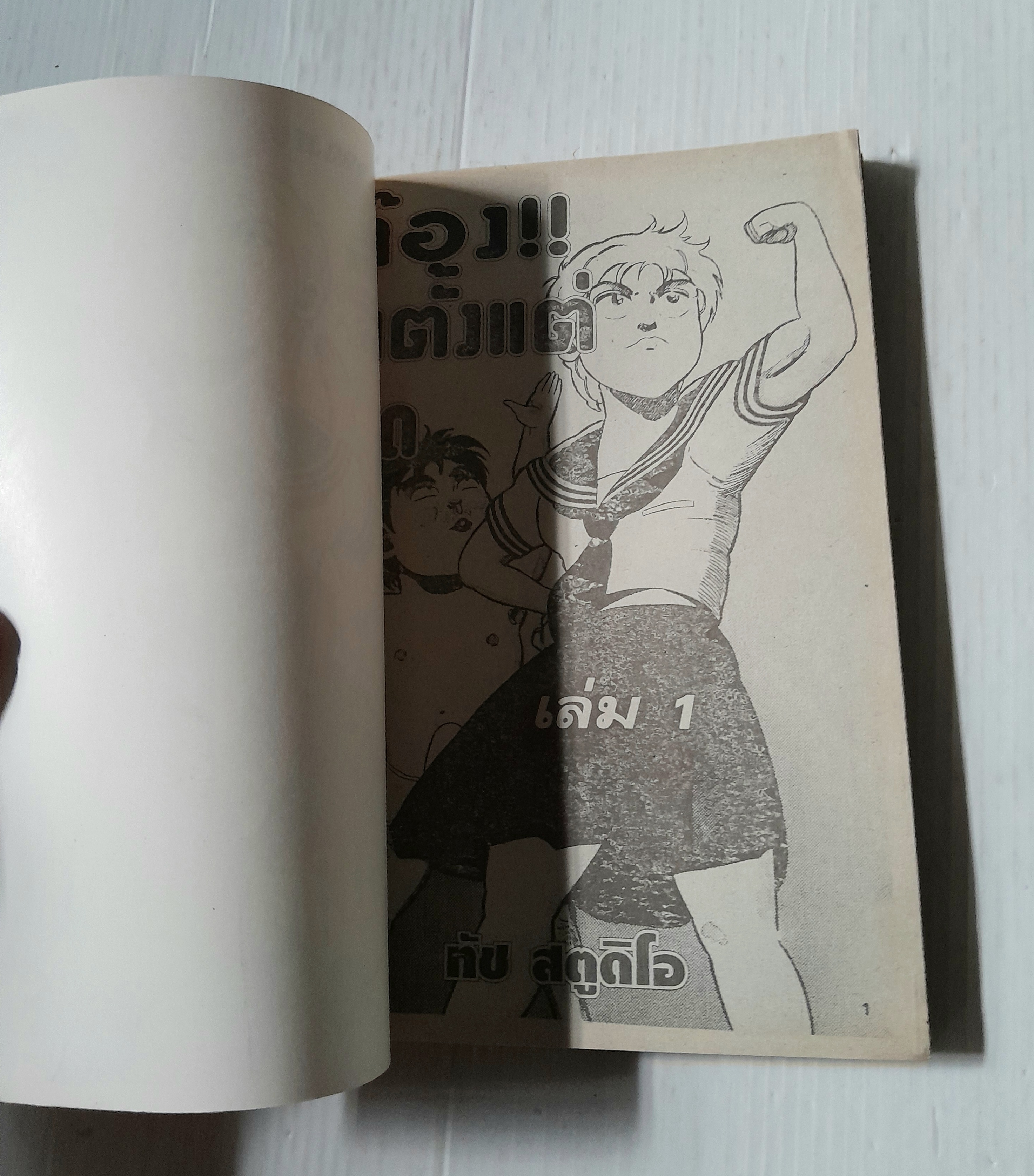 ต๊อง!! มาตั้งแต่เกิด (เล่มเดียวจบ) / Masayo Tokushiro