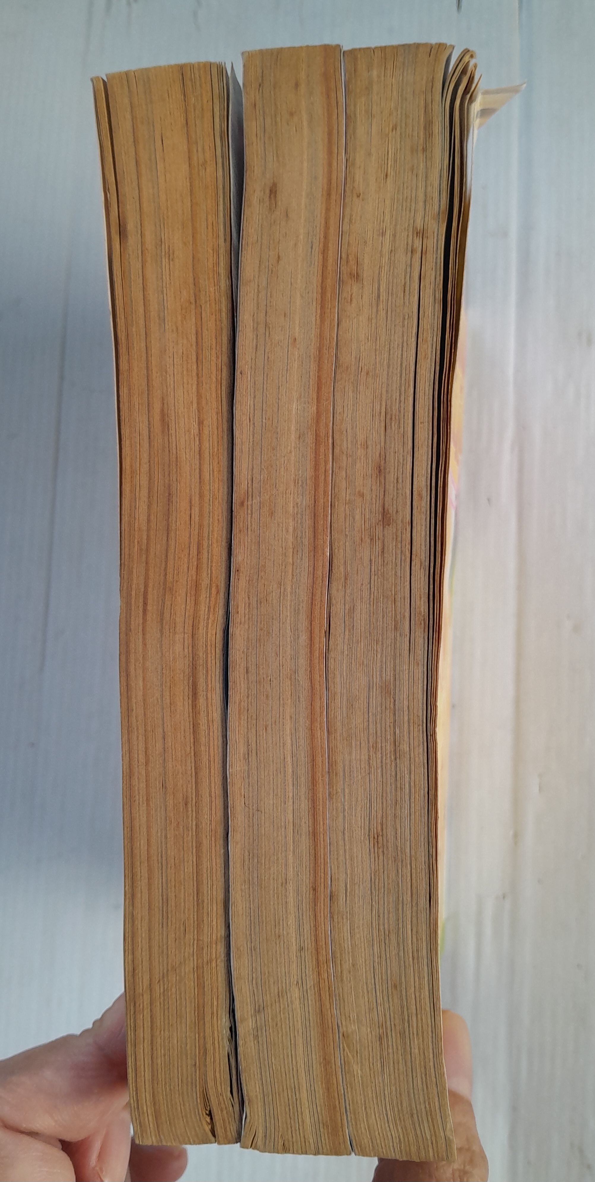 ฝ่าฝันวันเกียรติยศ 3 เล่มจบ /ไซโต้ จิโฮ