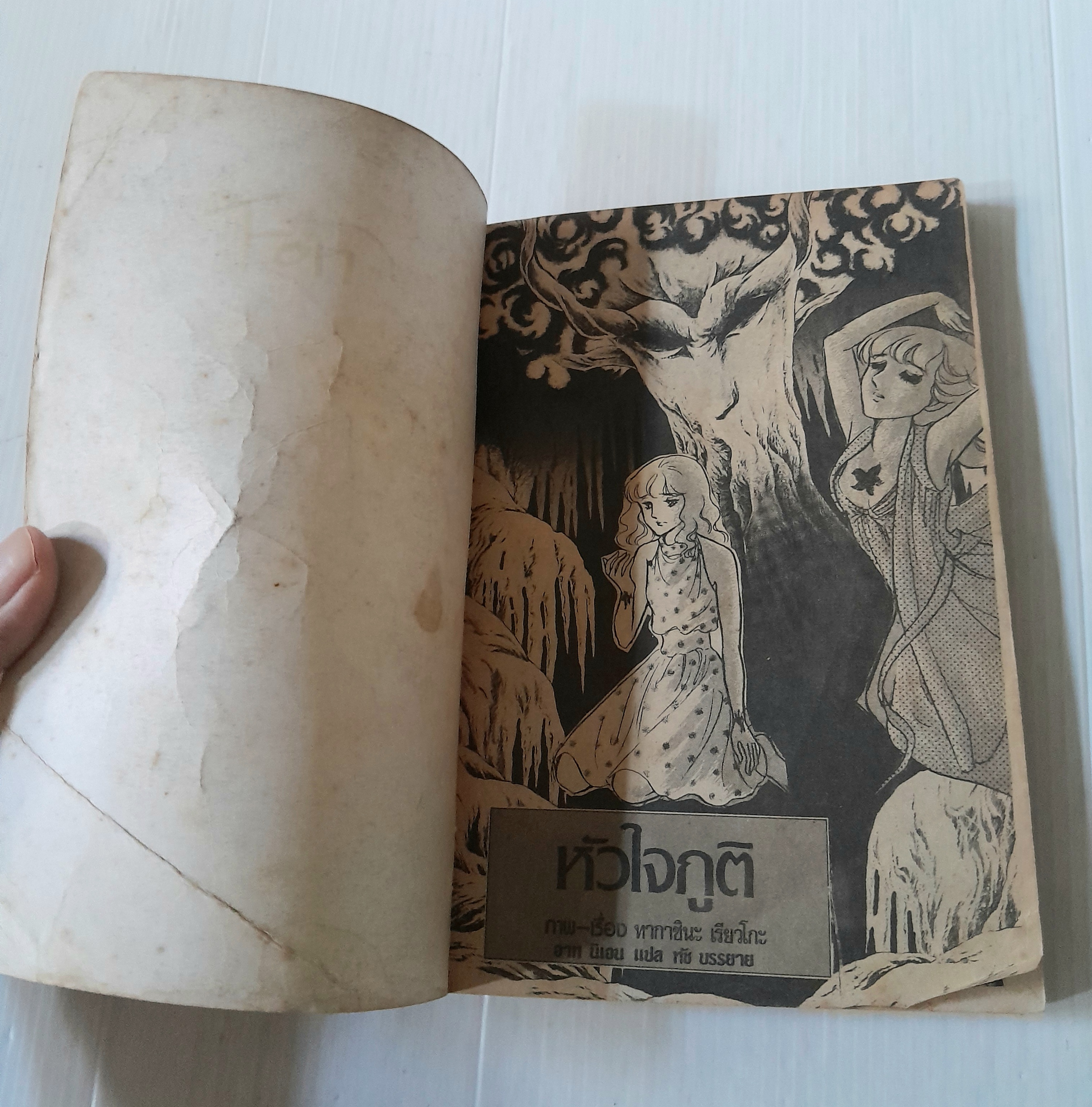 หัวใจภูติ (เล่มเดียวจบ) / ทากาชินะ เรียวโกะ