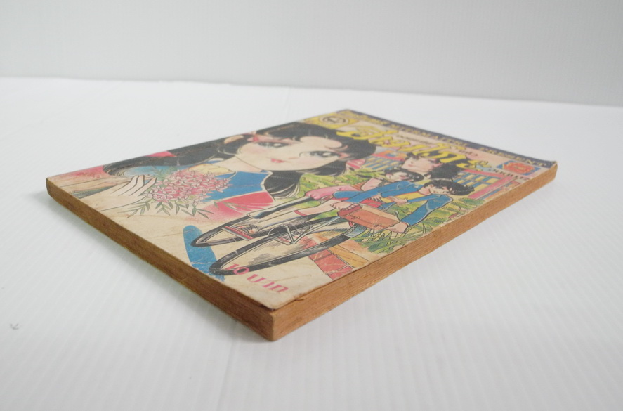 จอมแก่นแก้วฮิเมโกะ เล่ม 17