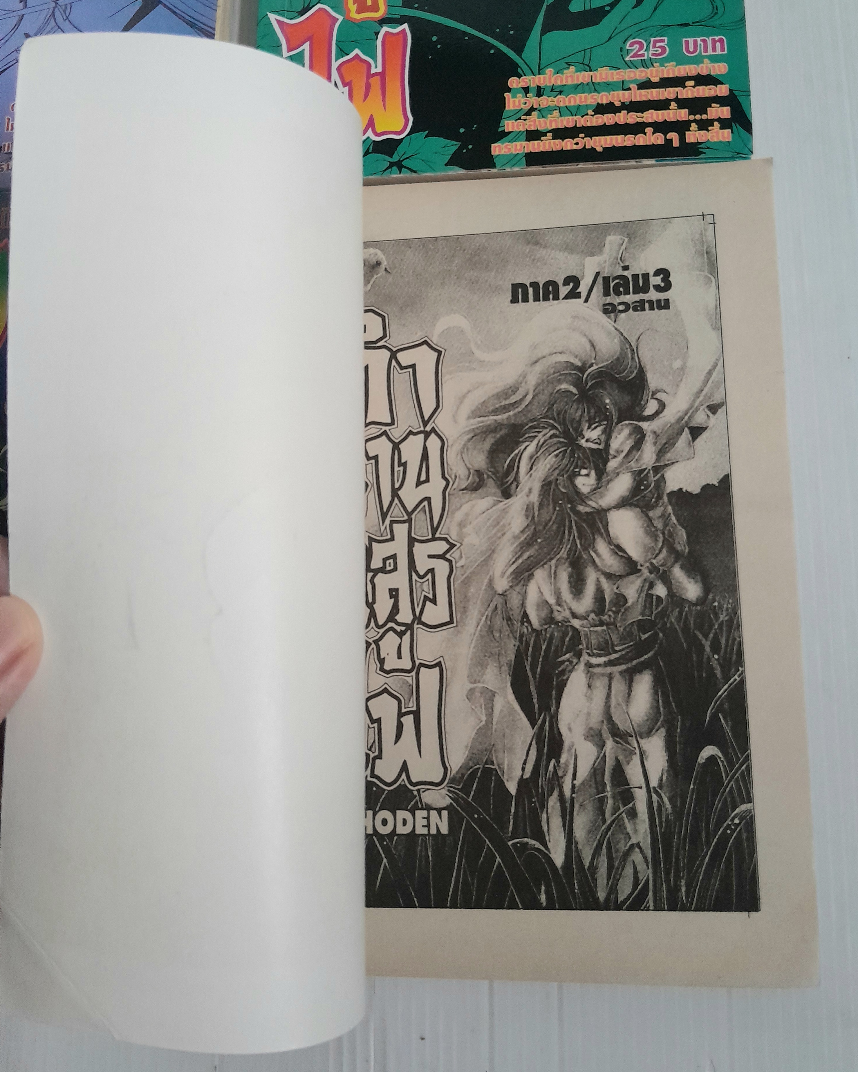 ตำนานอสูรไฟ ภาค 1-2 (ครบชุด 6 เล่มจบ) / Nemu Mukudori