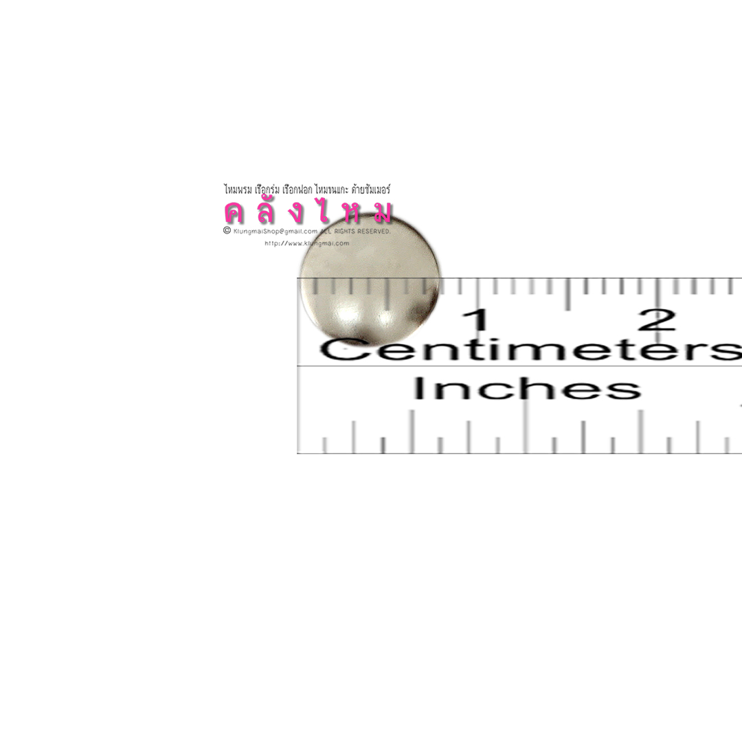 หมุดย้ำสีเงิน No.8000-12