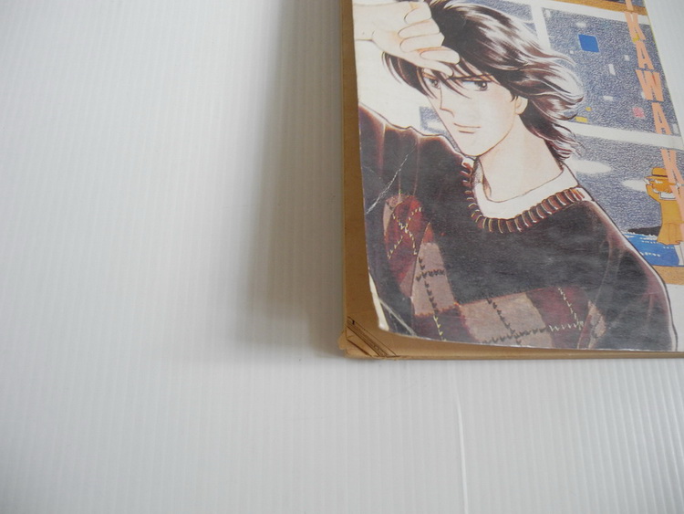 สมุดภาพสีเงิน / ฮิคาวะ เคียวโกะ