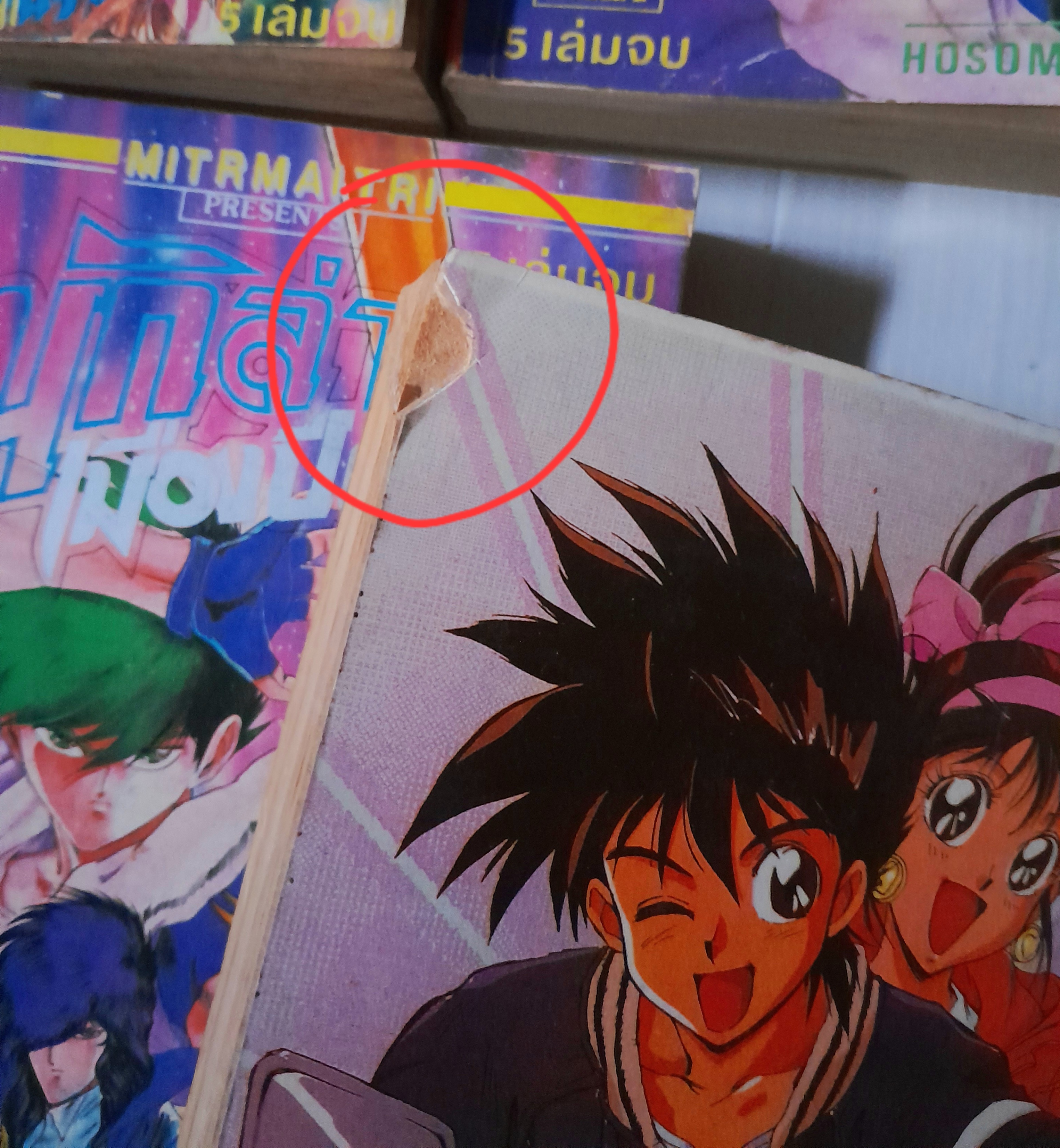 นักล่าเมืองปีศาจ 5 เล่มจบ / Hosoma Shinichi