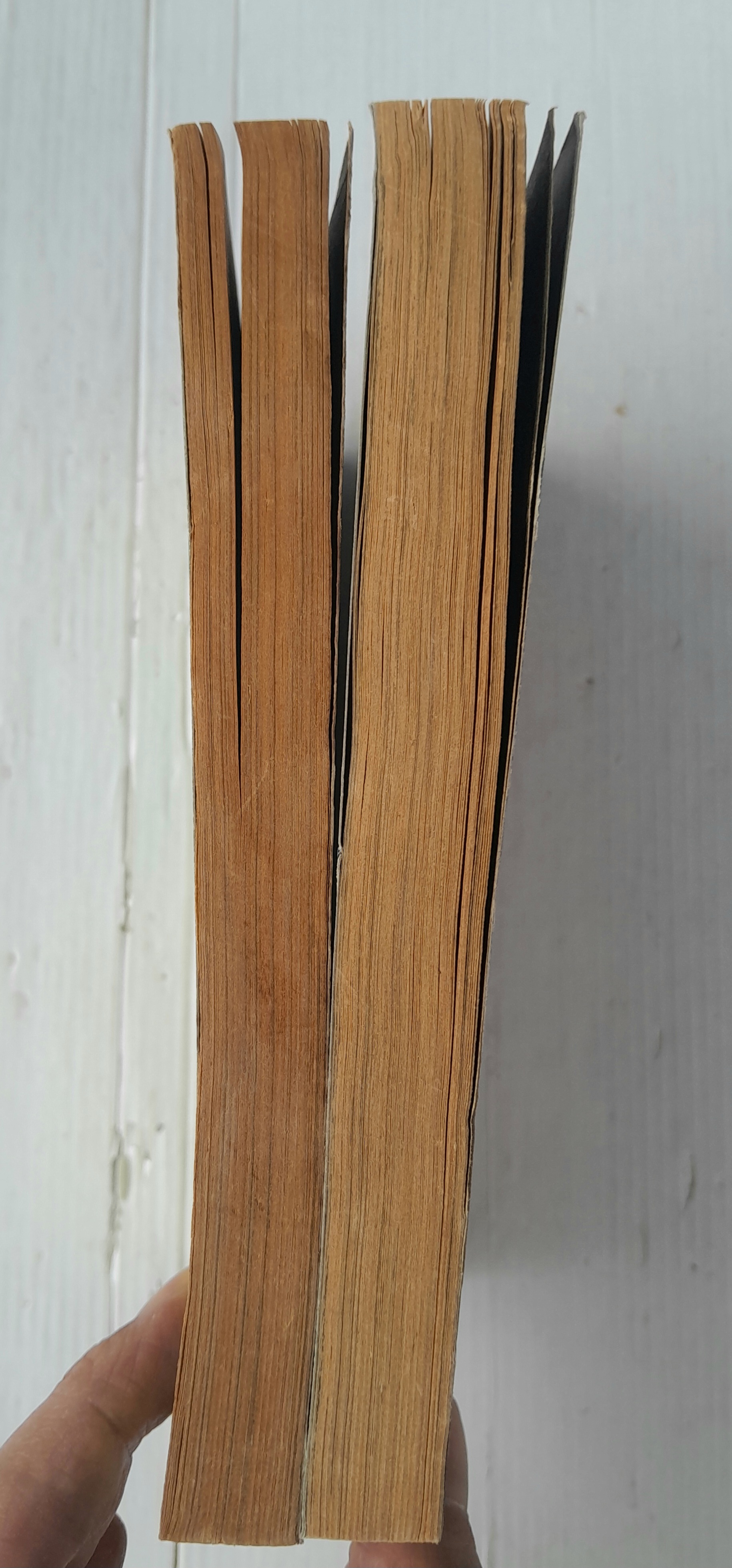 Xenon ซีนอน 2 เล่มจบ