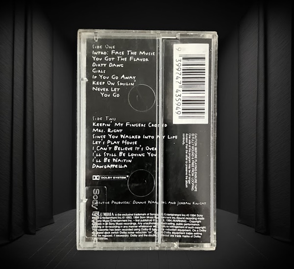 NKOTB : FACE THE MUSIC