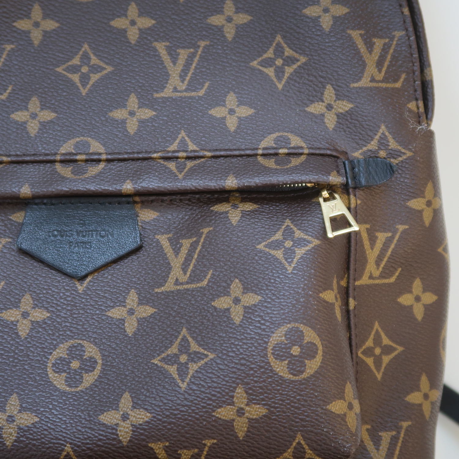 Louis Vuitton Monogram Palm Spring MM