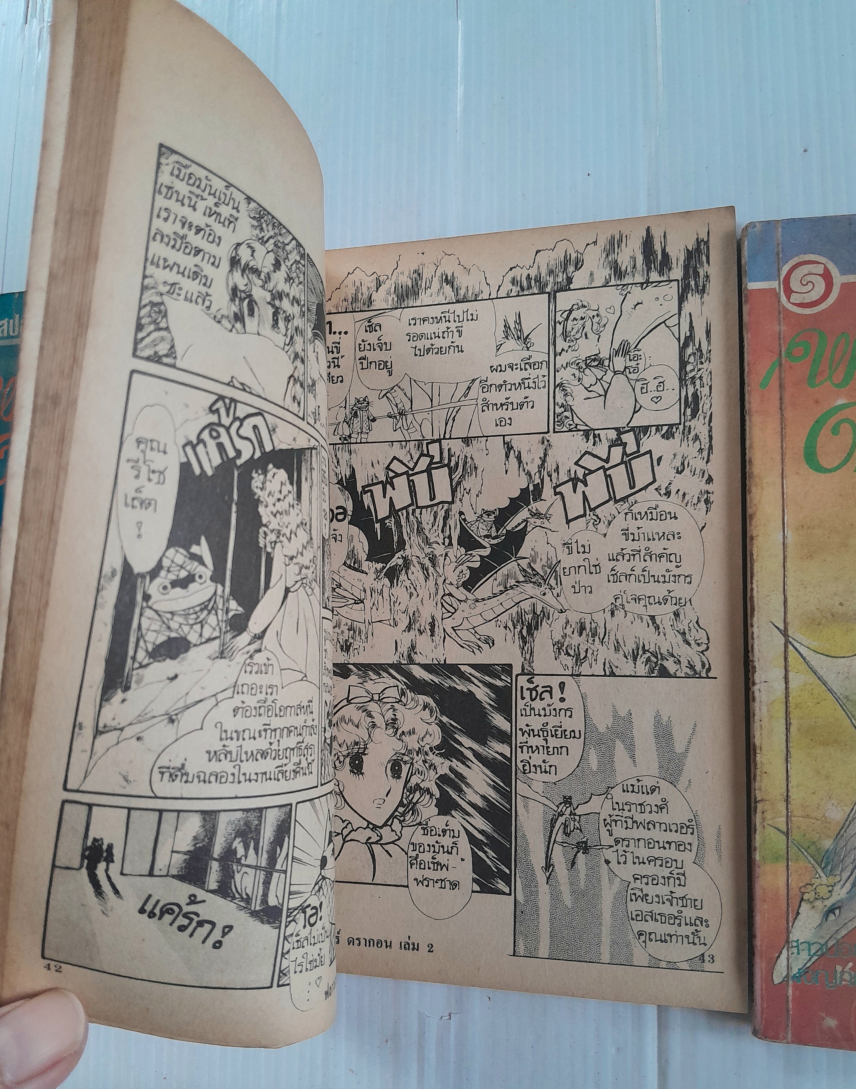 ฟลาวเวอร์ดราก้อน 3 เล่มจบ / Nakayama Seika