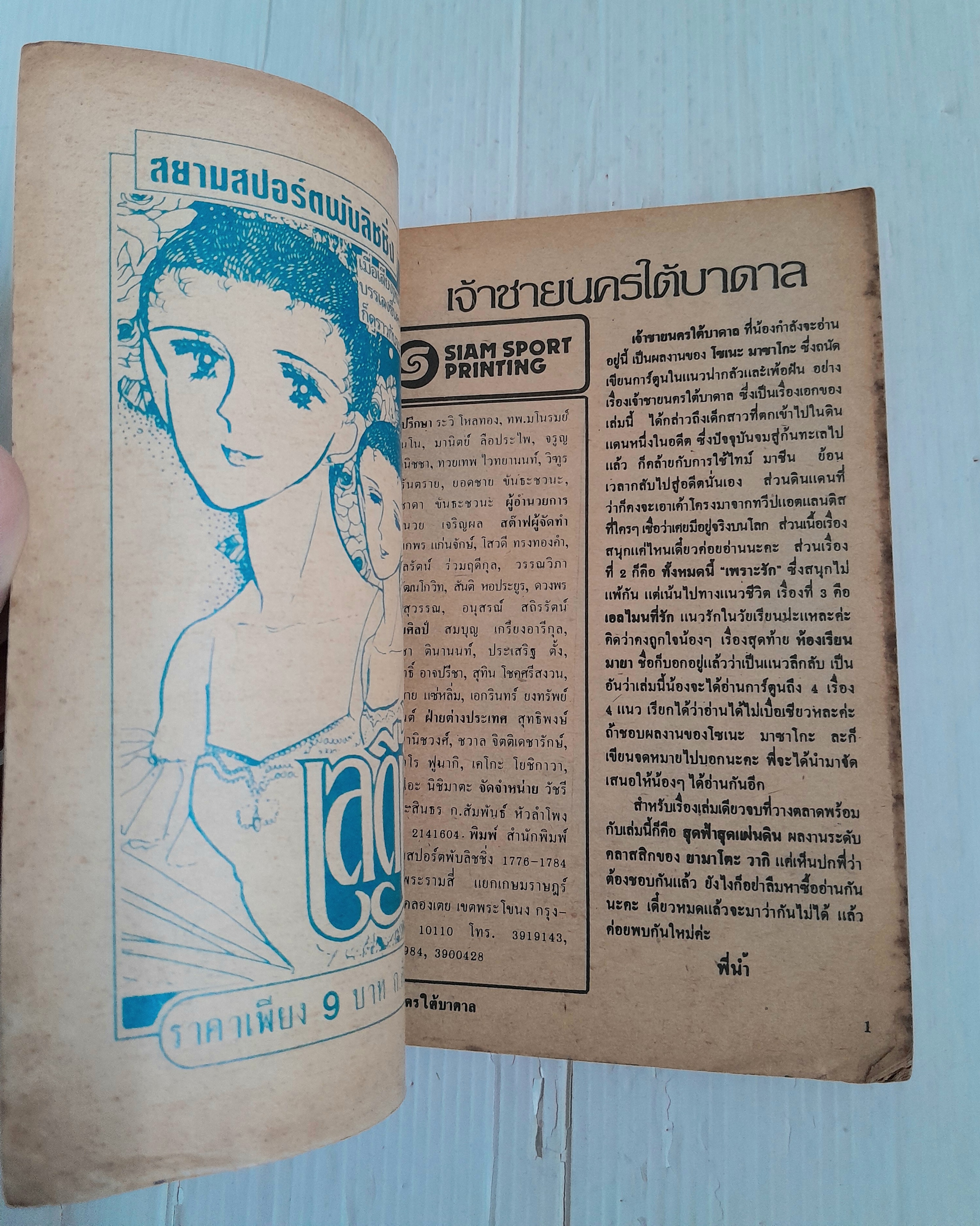 เจ้าชายนครใต้บาดาล (เล่มเดียวจบ) / โซเนะ มาซาโกะ