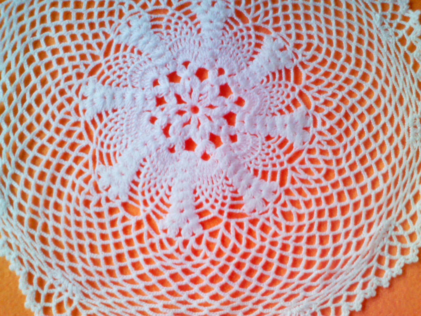 ดอลลี่ถัก