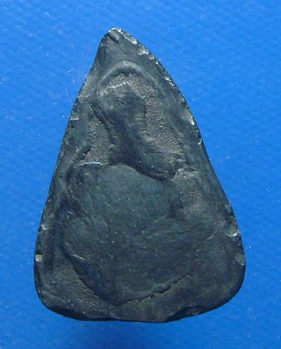 พระกลีบบัว หลังเรียบ เนื้อเมฆพัตร