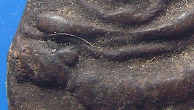 หลวงพ่อคง วัดวังสรรพรส