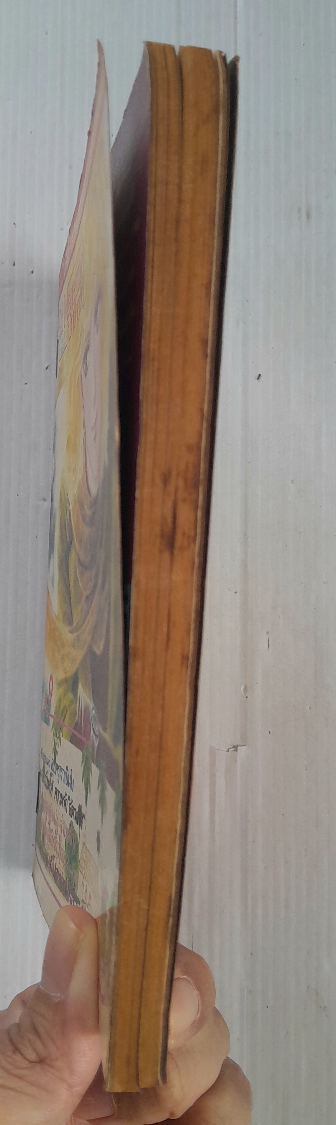 Gift Magazine เล่ม 9