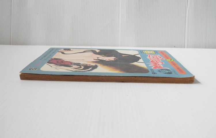 เจ้าสาวซาตาน เล่ม 6 / อาชิเบะ ยูโฮ