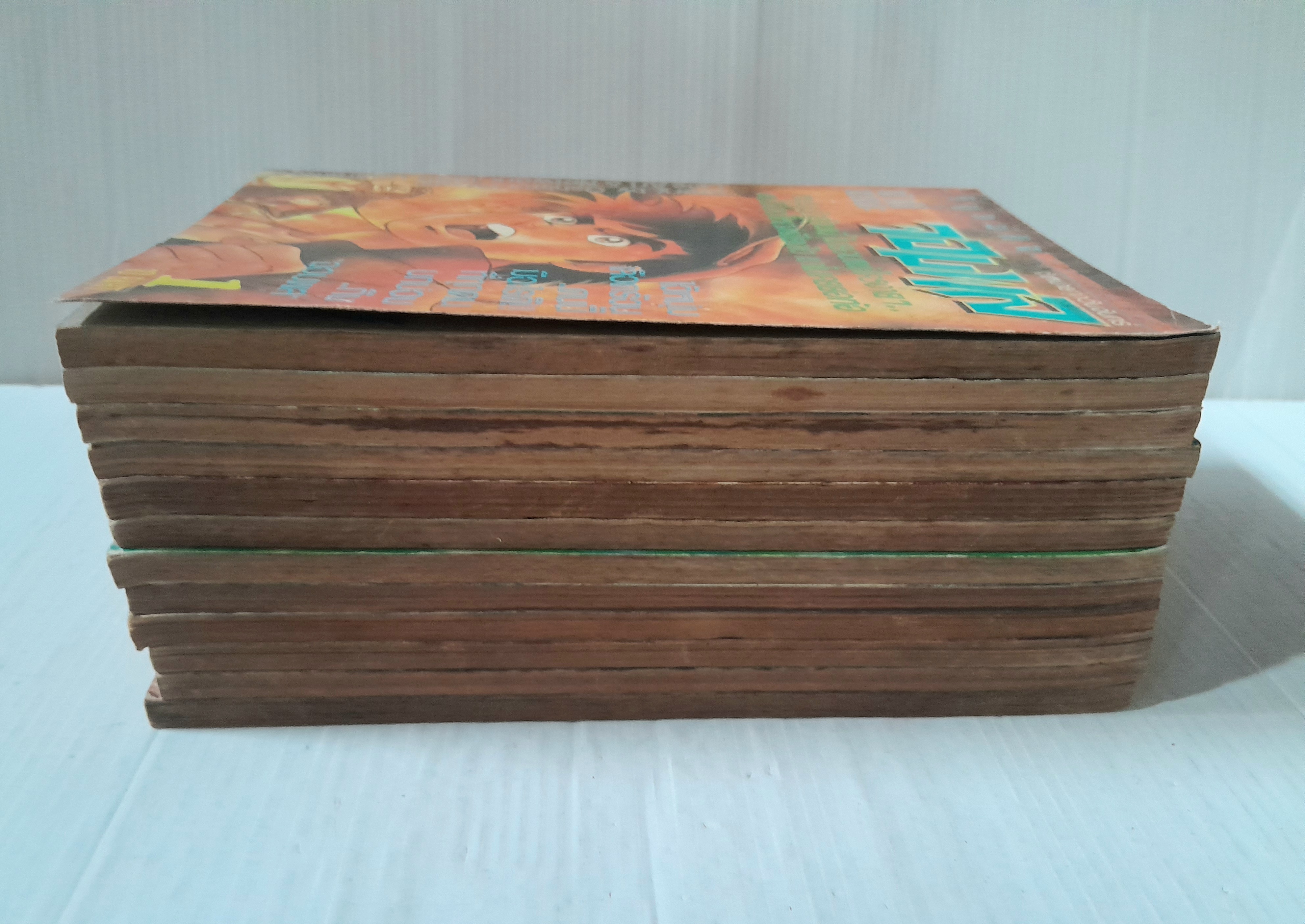 ข้านี่แหละจอมพล 12 เล่มจบ