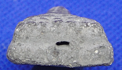 หลวงปู่ทวด