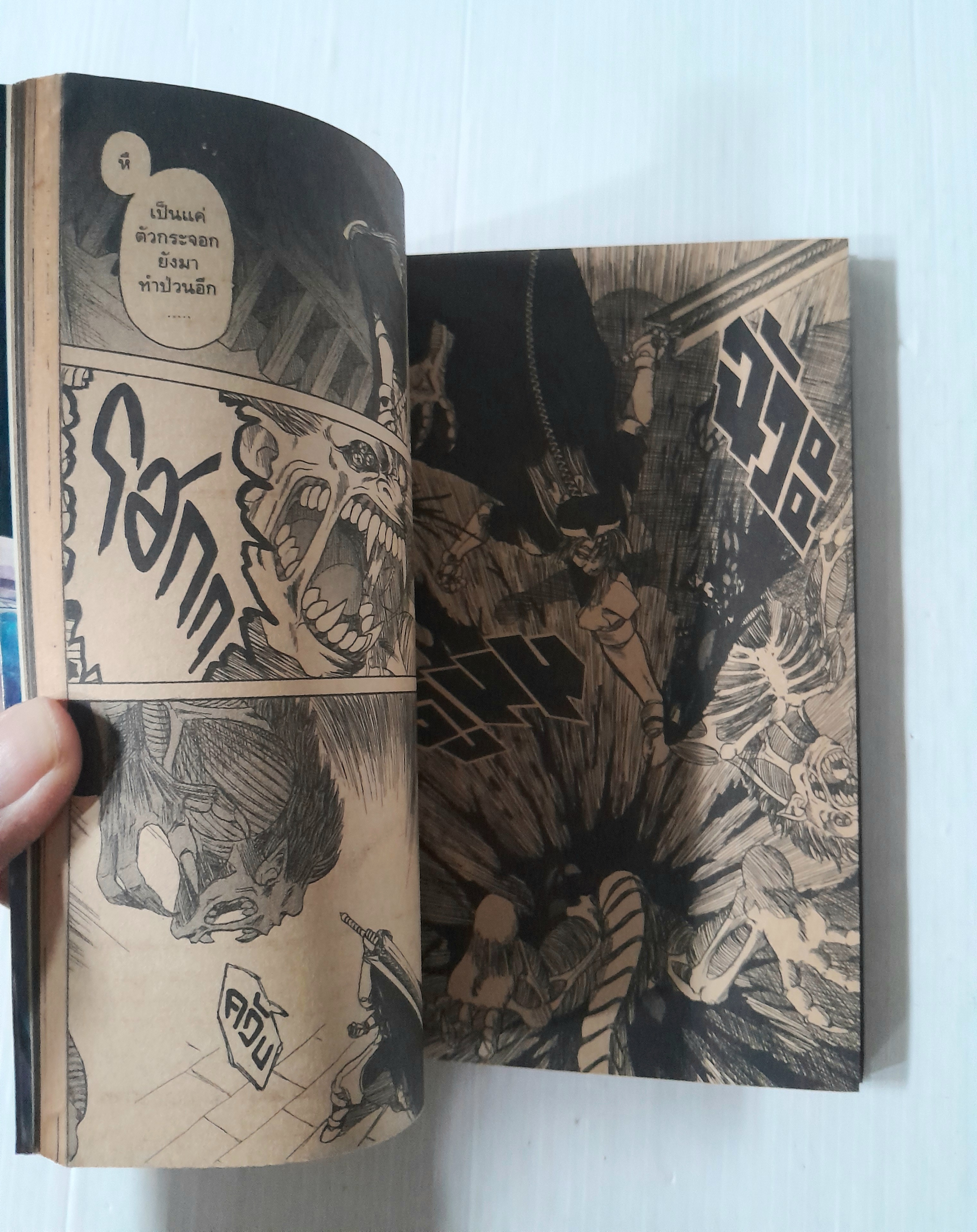 จอมดาบปราบอสูร (เล่มเดียวจบ) / Seiuchiroh Tofono