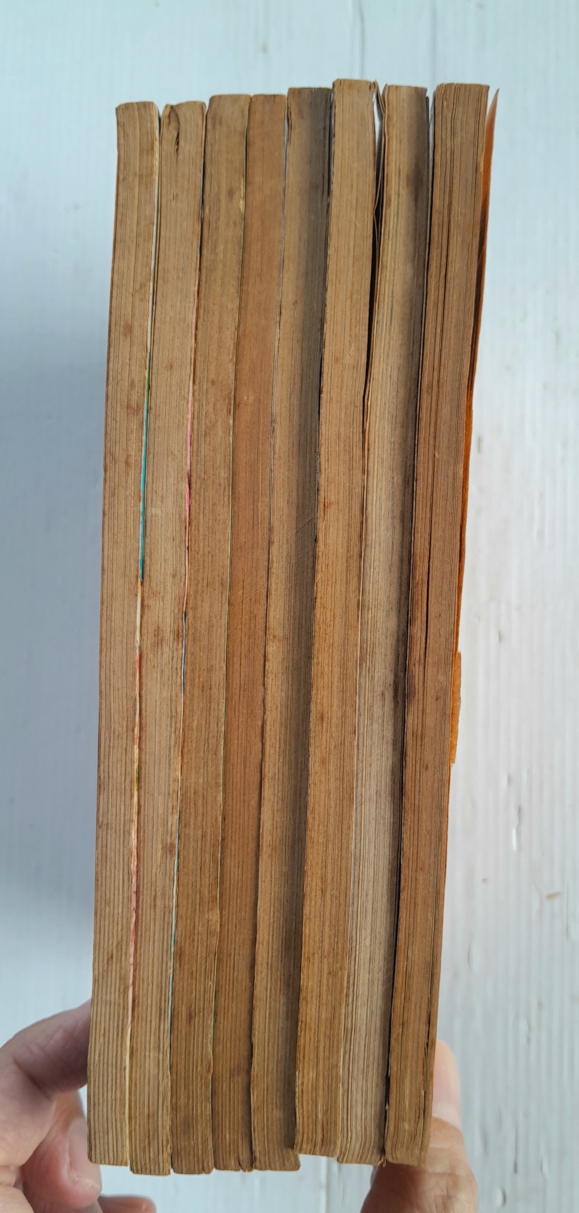 สู้เขามายูโกะ 8 เล่มจบ / ชิบาตะ อายูโกะ