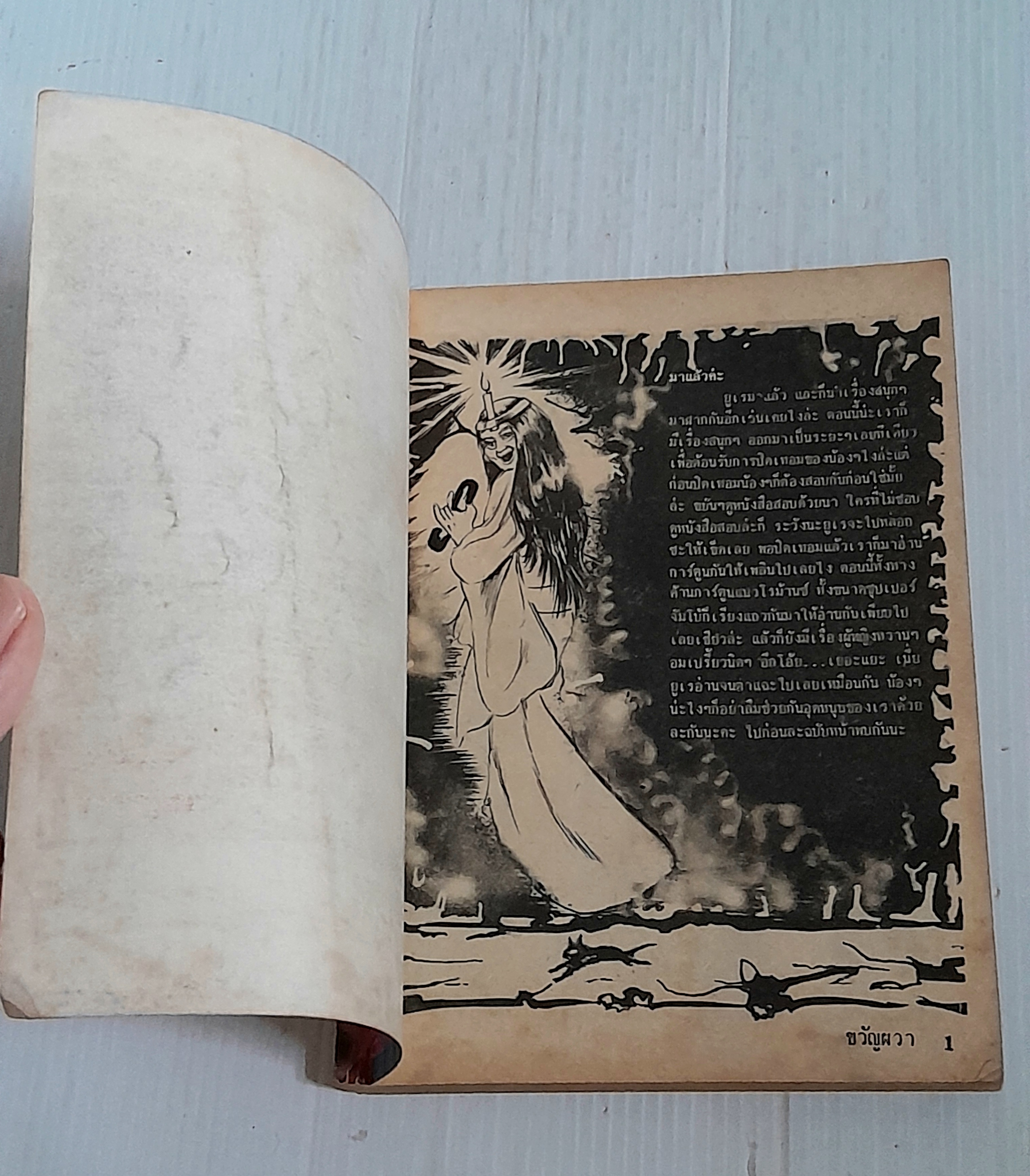 ขวัญผวา ตอน เธอต้องการเลือด (เล่มเดียวจบ) / Hibari Shobo