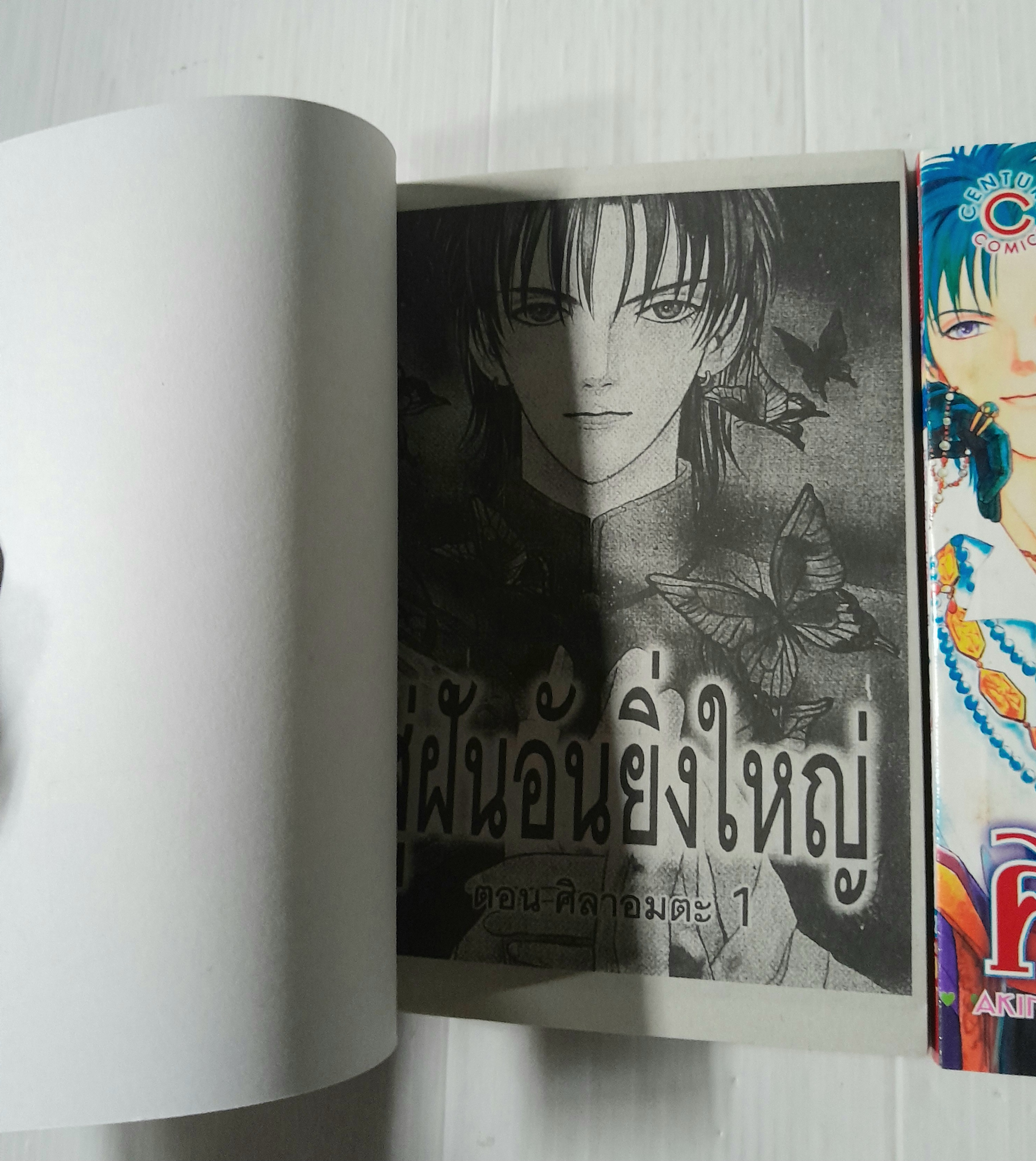 สู่ฝันอันยิ่งใหญ่ ตอนศิลาอมตะ 2 เล่มจบ / Akino Matsuri