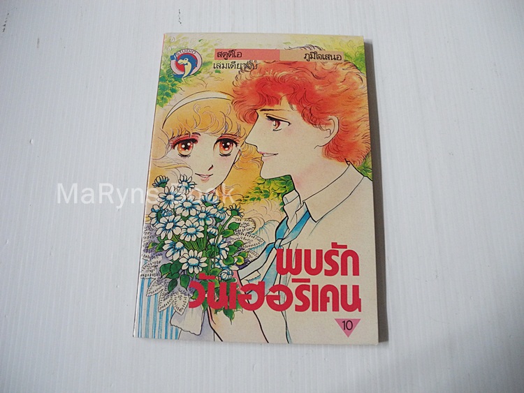 พบรักวันเฮอริเคน (เล่มเดียวจบ)