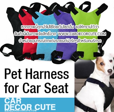 DOG Seat belts - สายคาดเบลท์สำหรับสัตว์เลี้ยง เข็มขัดนิรภัย