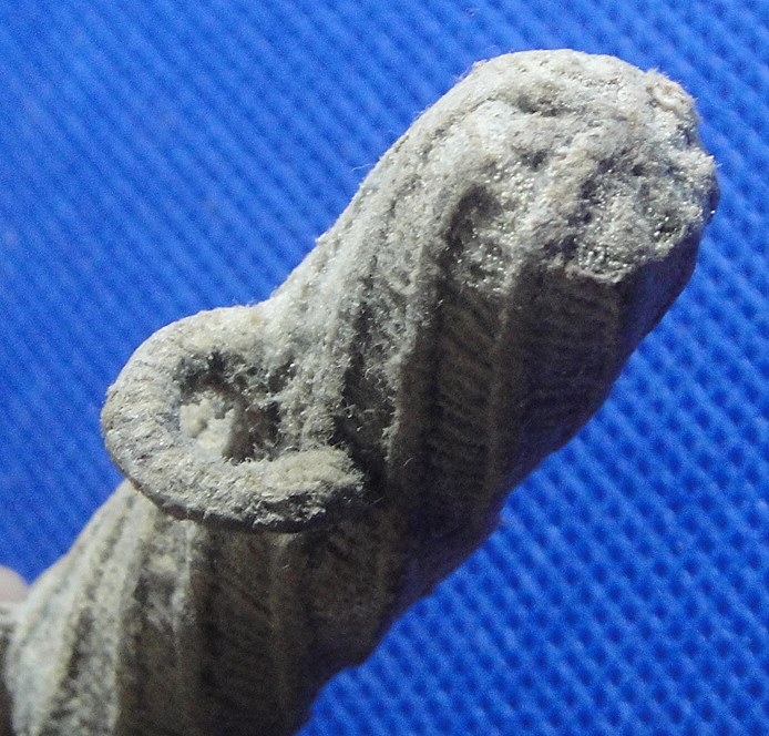 ตะกรุดหนังเสือ