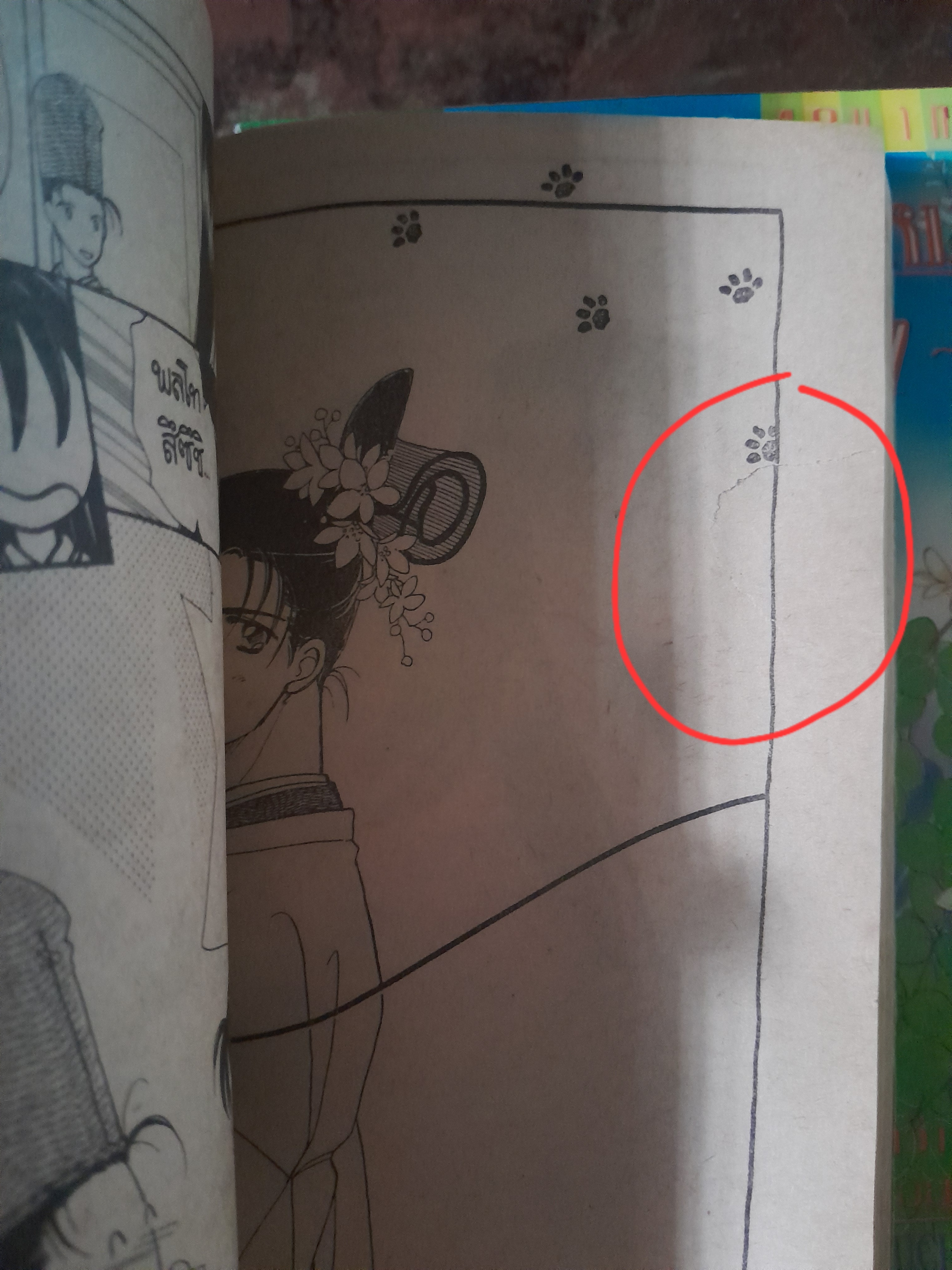 มีคุณชายดีๆบ้างไหมให้องค์หญิง 3 เล่มจบ / Yamauchi Naomi