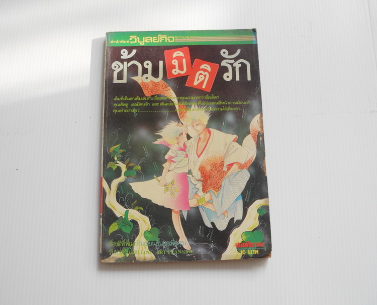 ข้ามมิติรัก