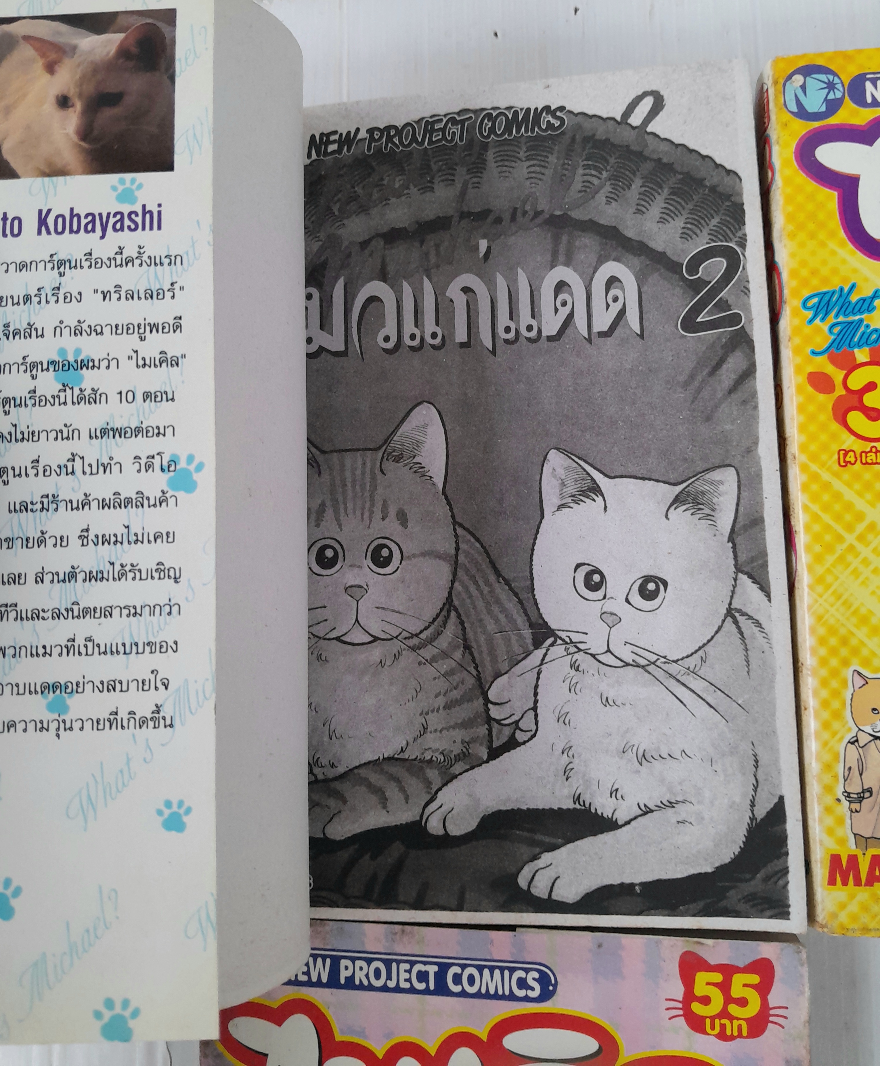 ไมเคิล แมวแก่แดด 4 เล่มจบ / Makoto Kobayashi