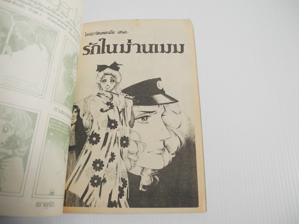 ม่านคั่นรัก เล่ม 2 / ชิบาตะ อายูโกะ