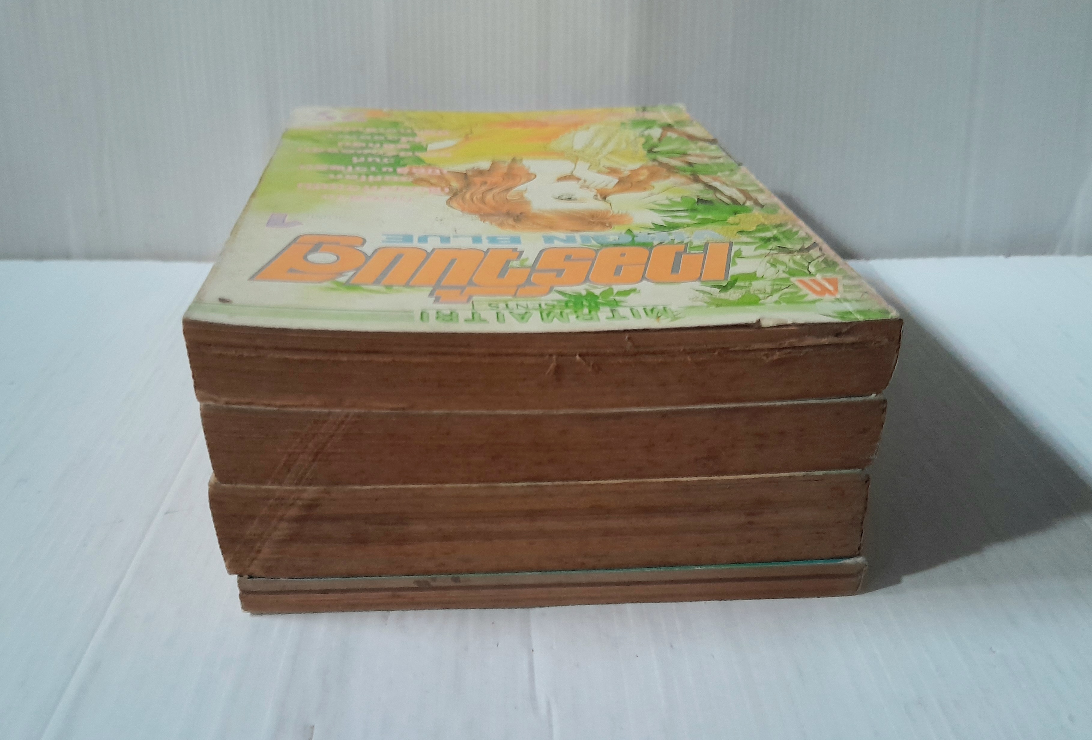 VIRGIN BLUE 4 เล่มจบ / Morioka Mari