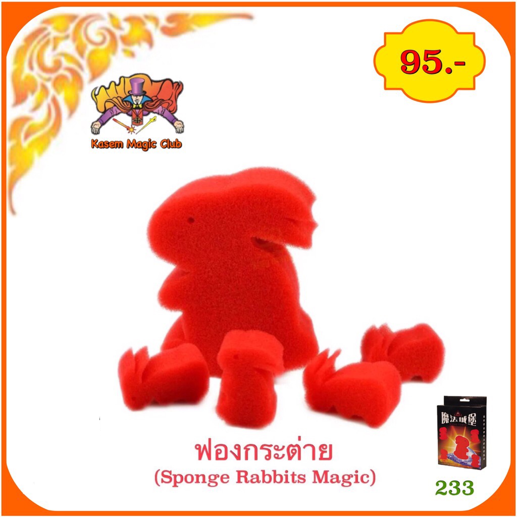ฟองน้ำกระต่าย ใหญ่ (Jumbo sponge rabbit)