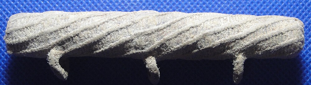 ตะกรุดหนังเสือ