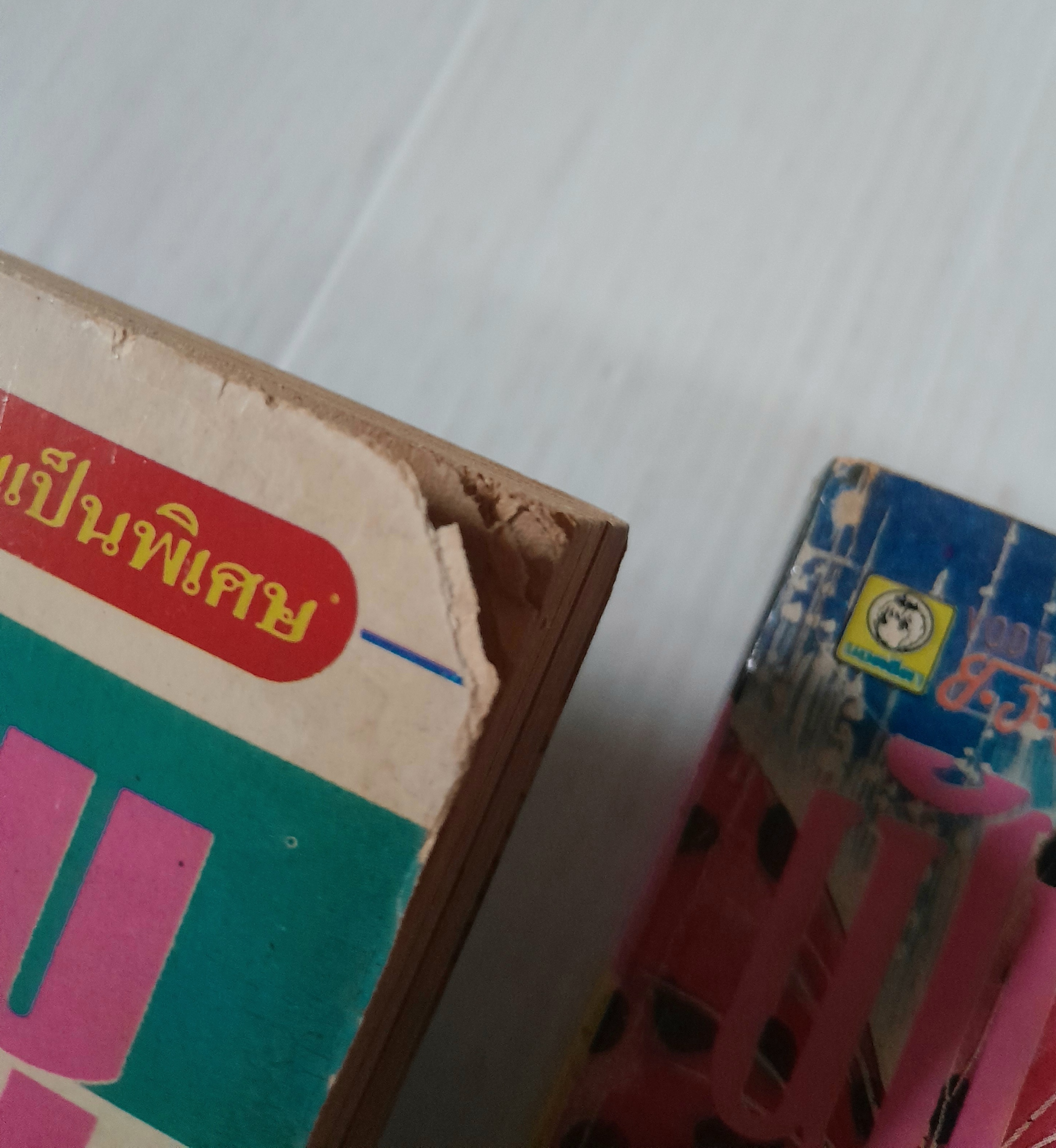 ฝันนี้สีชมพู 2 เล่มจบ