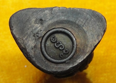 หลวงพ่ออุตตมะ วัดวังก์วิเวการาม