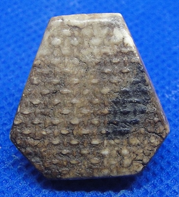 พระปิดตาหลังตะแกรง