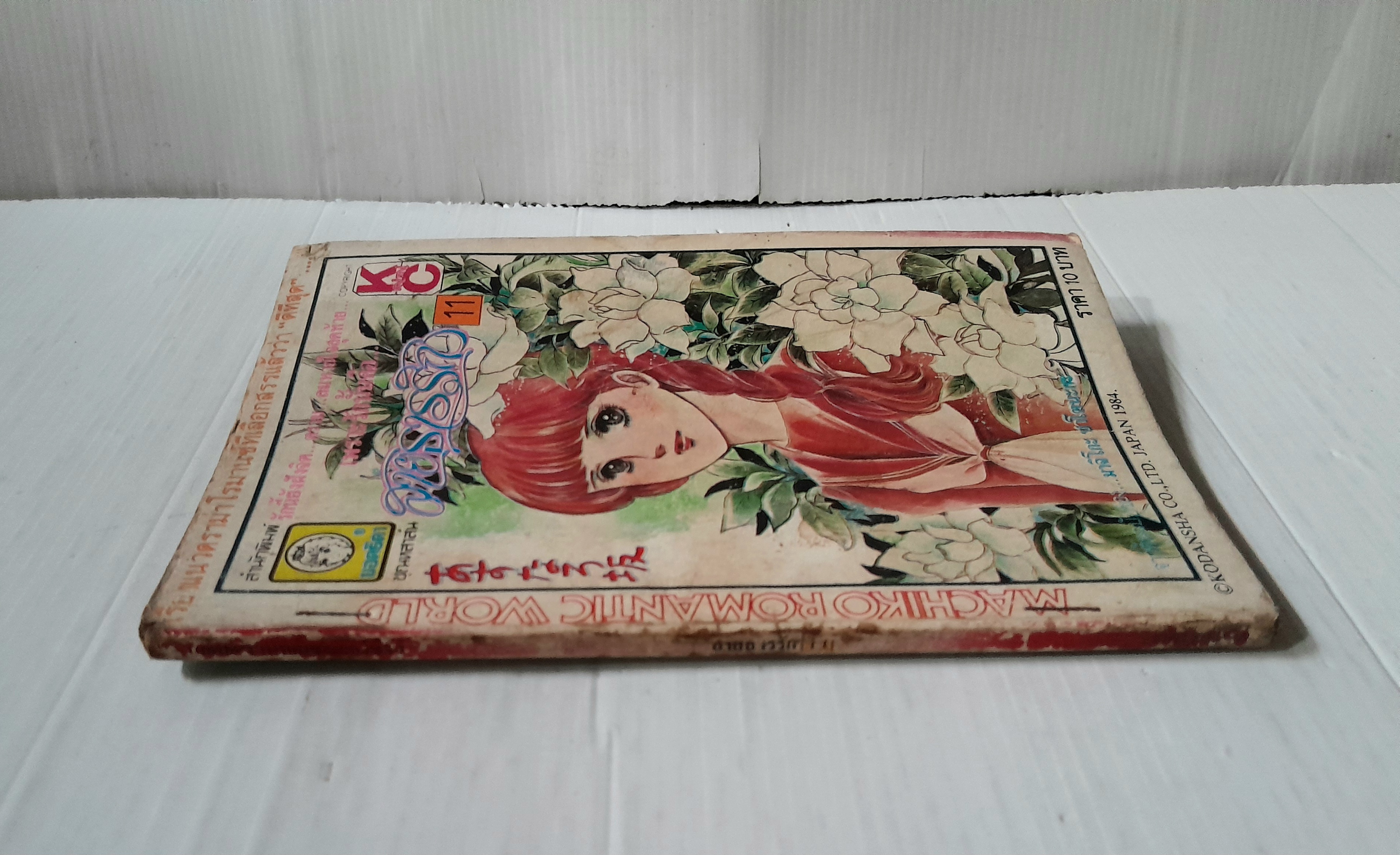 สายธารรัก เล่ม 11 / มาจิโกะ ซาโตนะกะ