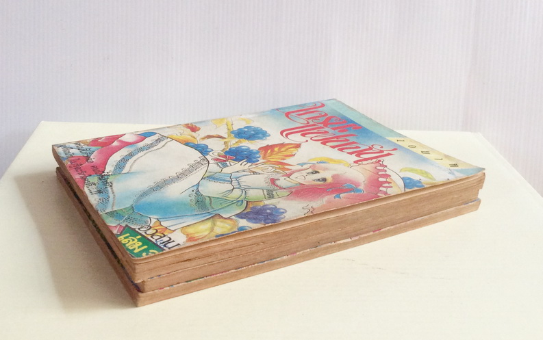 ใครนะแฟนฉัน 3 เล่มจบ / Asagiri Yu