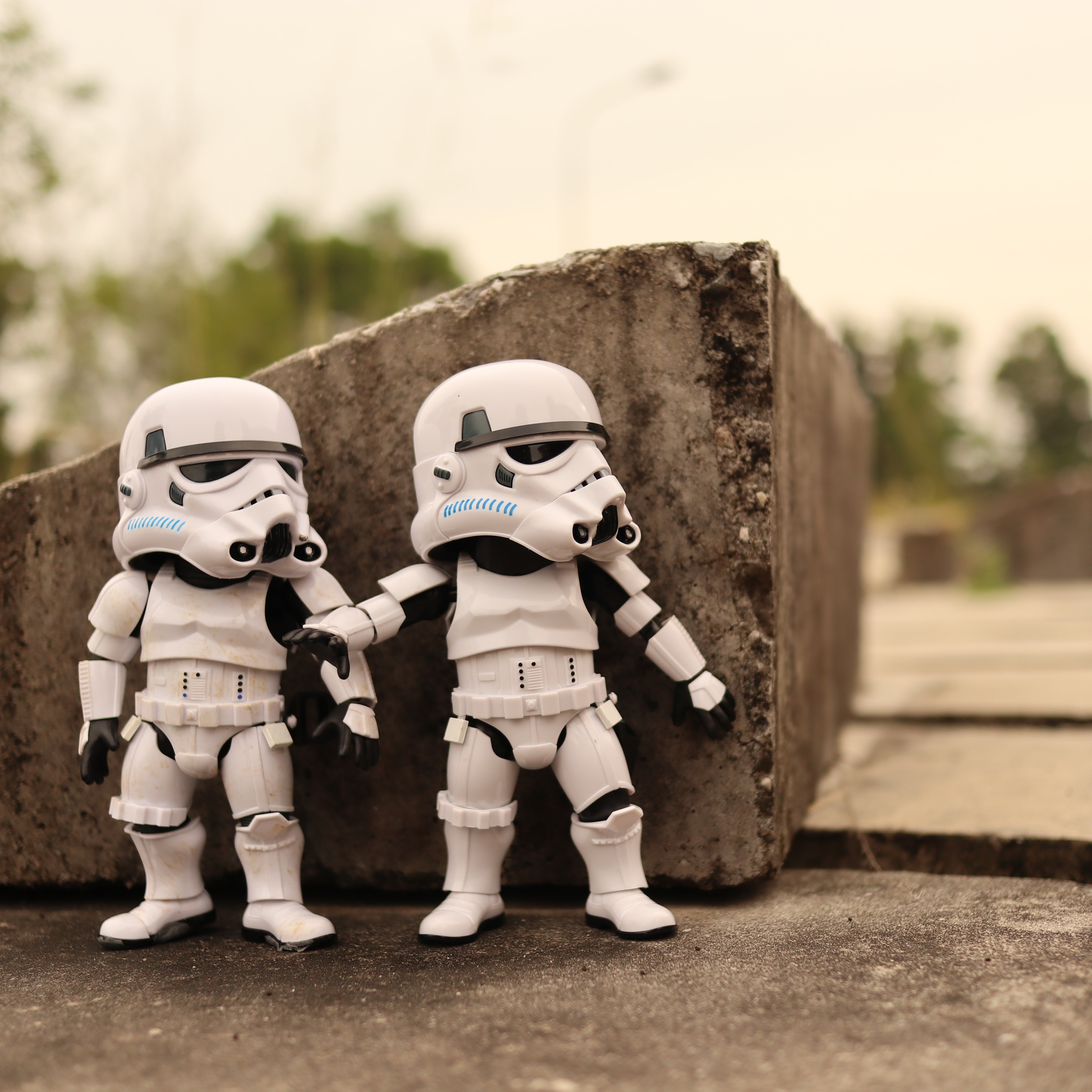 LeCo Starwalls ของปลอมแท้ ไก่กาแน่นอน