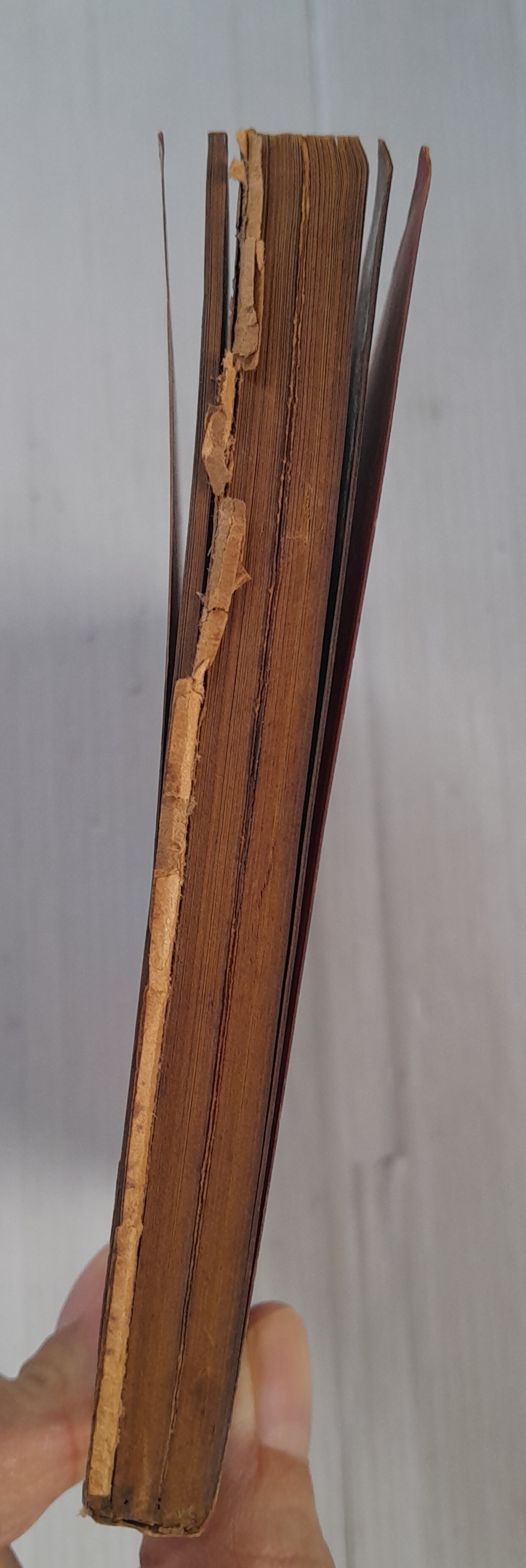 Gift Magazine เล่ม 11